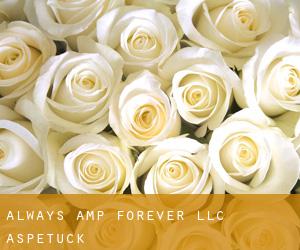 Always & Forever, LLC (Aspetuck)