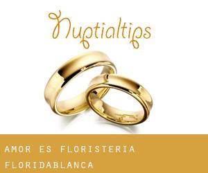 Amor Es Floristería (Floridablanca)