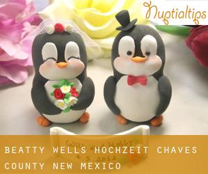 Beatty Wells hochzeit (Chaves County, New Mexico)