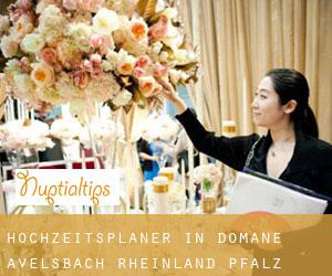 Hochzeitsplaner in Domäne Avelsbach (Rheinland-Pfalz)
