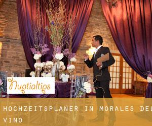 Hochzeitsplaner in Morales del Vino