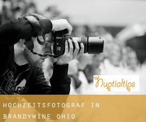 Hochzeitsfotograf in Brandywine (Ohio)