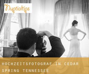 Hochzeitsfotograf in Cedar Spring (Tennessee)