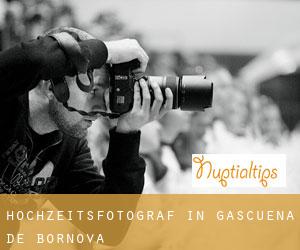 Hochzeitsfotograf in Gascueña de Bornova