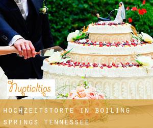 Hochzeitstorte in Boiling Springs (Tennessee)