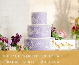 Hochzeitstorte in Cedar Springs (South Carolina)