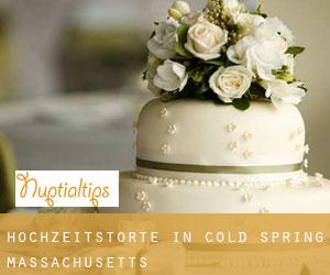 Hochzeitstorte in Cold Spring (Massachusetts)