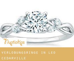 Verlobungsringe in Leo-Cedarville