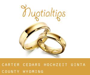 Carter Cedars hochzeit (Uinta County, Wyoming)
