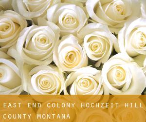 East End Colony hochzeit (Hill County, Montana)