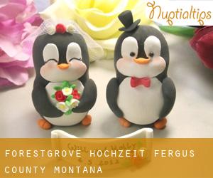 Forestgrove hochzeit (Fergus County, Montana)