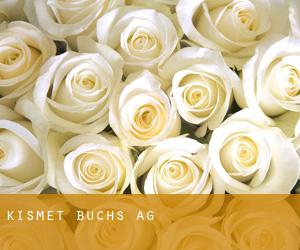 Kismet (Buchs AG)