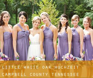 Little White Oak hochzeit (Campbell County, Tennessee)