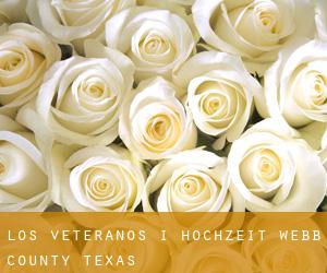 Los Veteranos I hochzeit (Webb County, Texas)