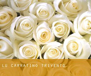 LU Carratino (Trivento)