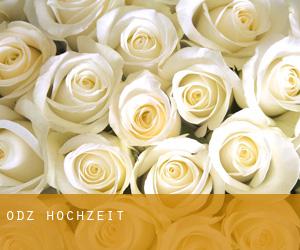 Łódź hochzeit Łódź hochzeit