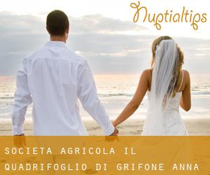 Societa' Agricola Il Quadrifoglio di Grifone Anna Rosa (Montenero di Bisaccia)