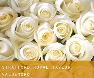 Stratford Royal Taylor (Valdemoro)