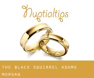 The Black Squirrel (Adams Morgan)