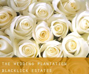 The Wedding Plantation (Blacklick Estates)