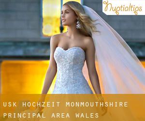 Usk hochzeit (Monmouthshire principal area, Wales)
