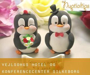 Vejlsøhus Hotel og Konferencecenter (Silkeborg)